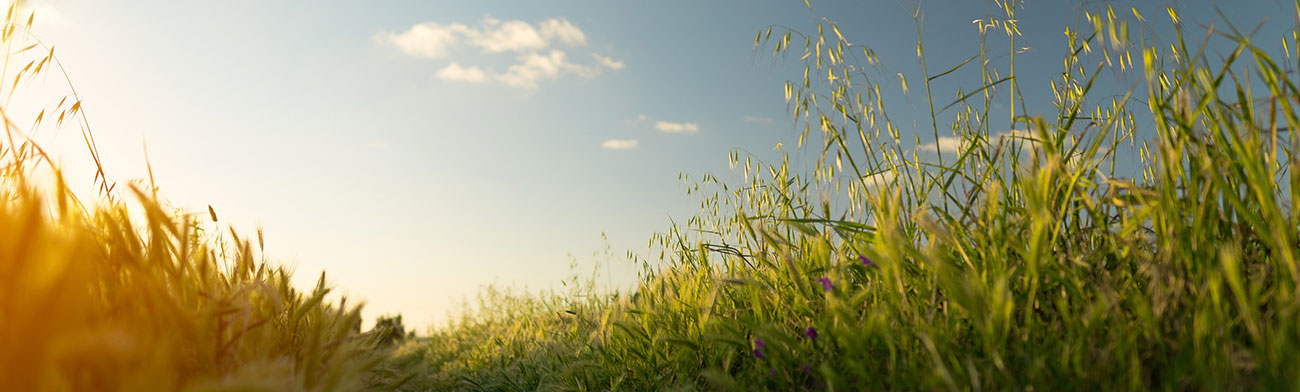 Hostinger Review Profissional em 2026 — Vale a Pena para Seu Site?